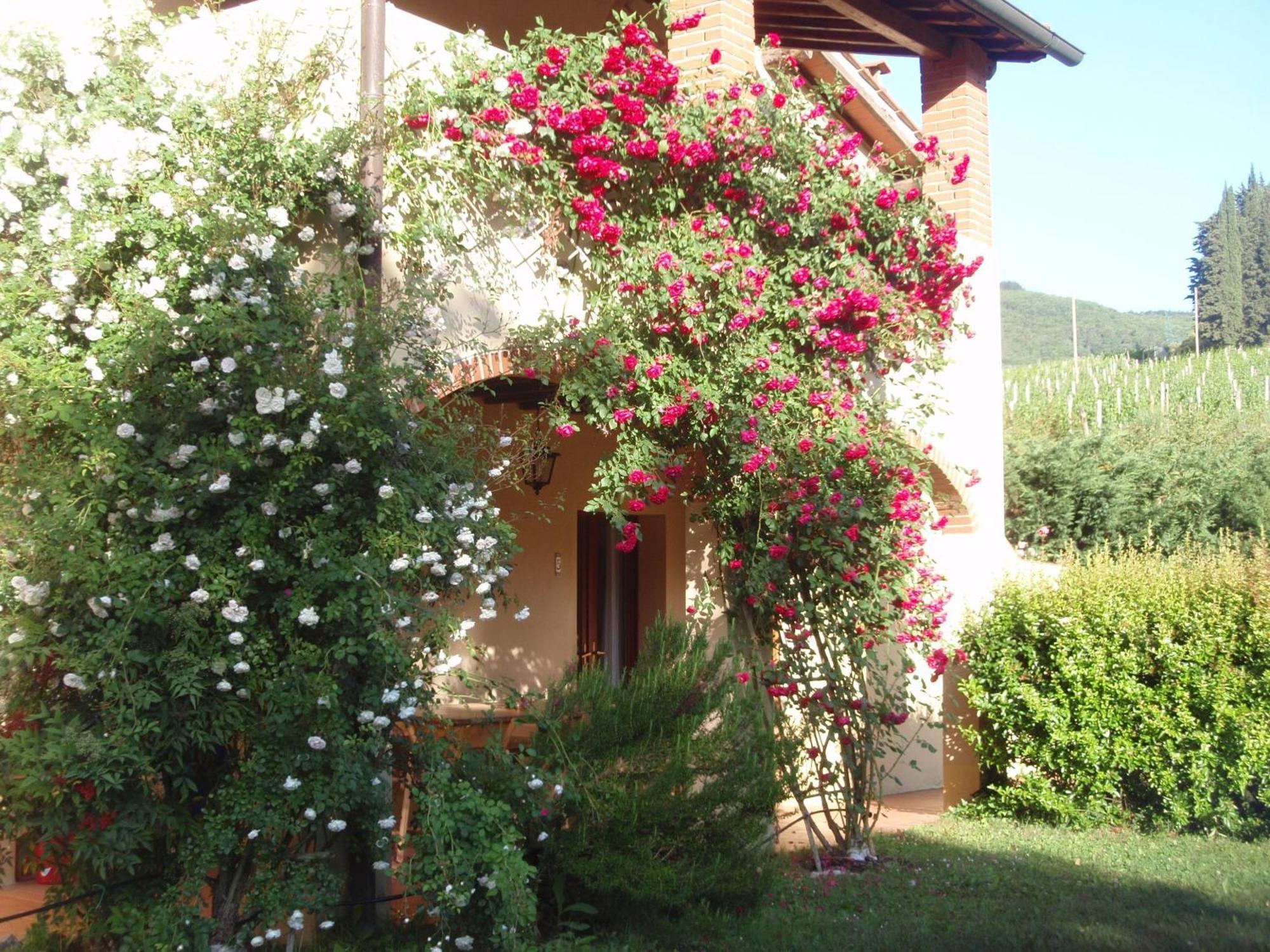 Villa Buonasera Agriturismo グレーヴェ・イン・キアンティ エクステリア 写真