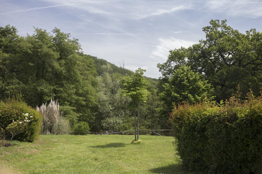 Villa Buonasera Agriturismo グレーヴェ・イン・キアンティ エクステリア 写真